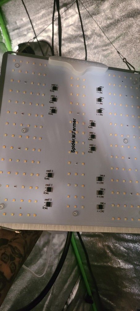 Grow Light Spider Farms