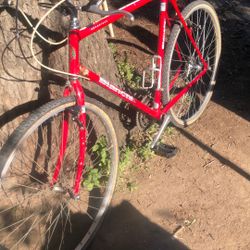 27” Bianchi Advantage Bike