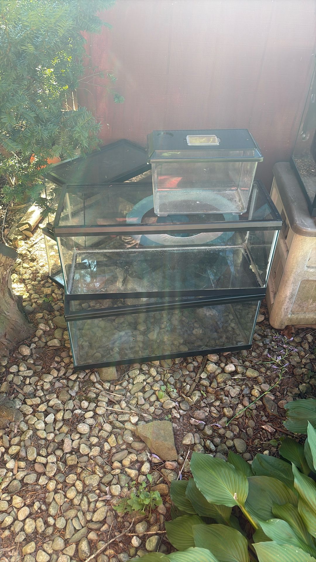Tons Of Fish/reptile Tanks