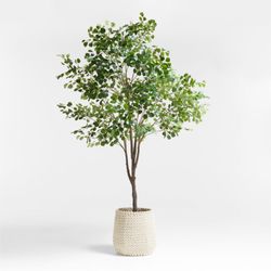 9 Foot Faux Ficus Tree - Crate & Barrel