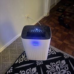 Hogarlabs 100 Pint Dehumidifiers 
