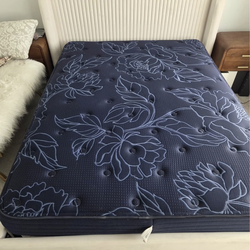 Sleepy's By Sealy Queen Spring Medium Mattress