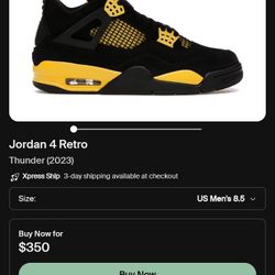 Jordan 4s Thunder.