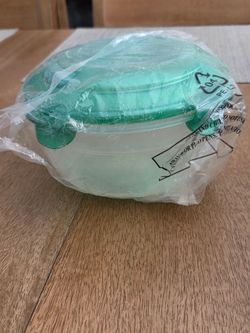Food Storage Container with handle