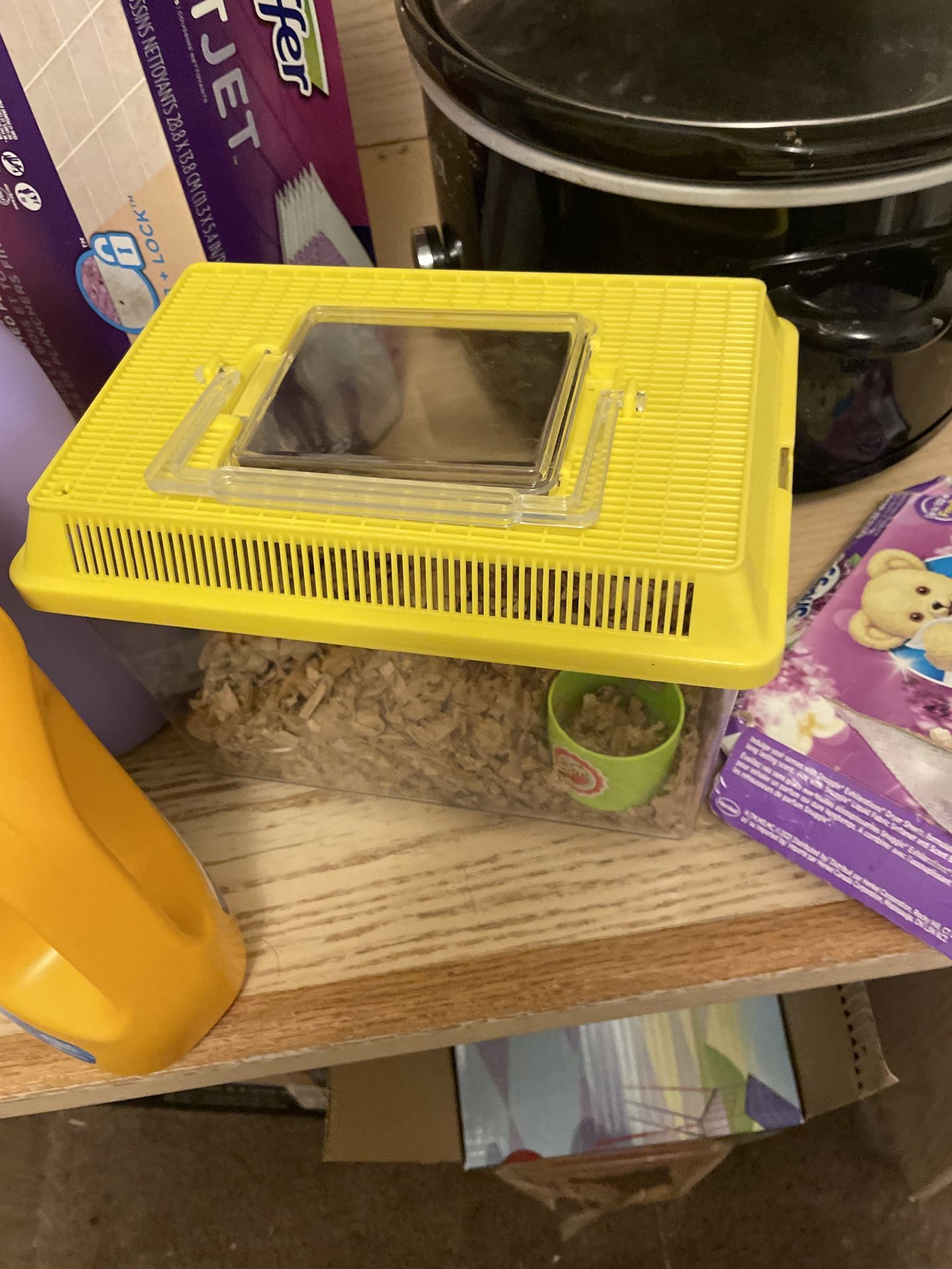 2 Mice And Their Stuff