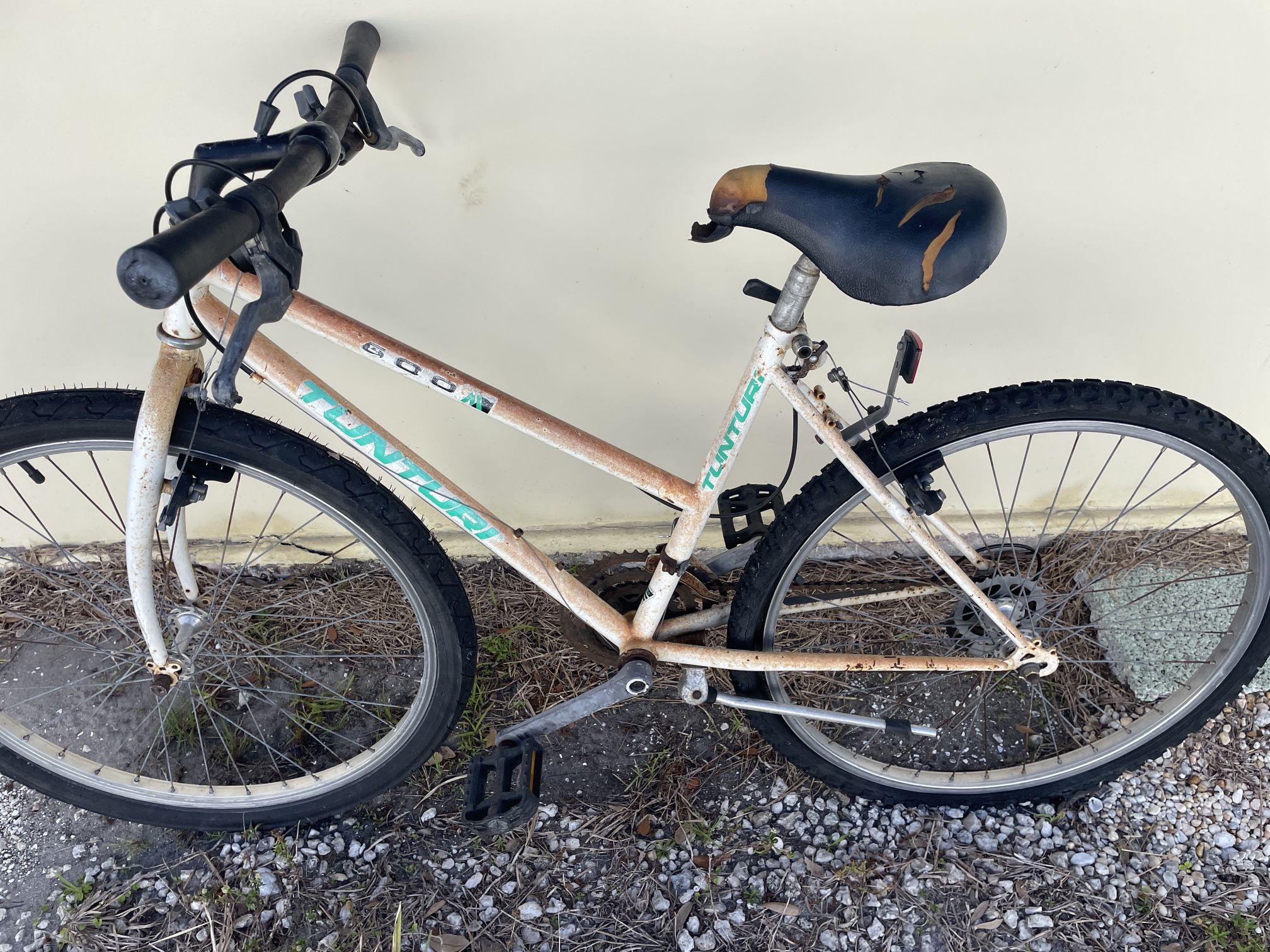 Old Bicycle