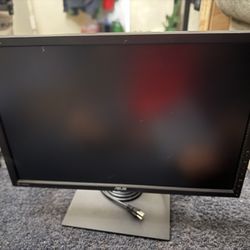 Asus Monitor 24 Inch