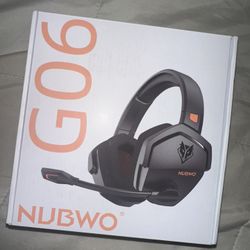 Wireless Headphones W/mic 