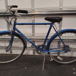 Free Spirit Bicycle Vintage
