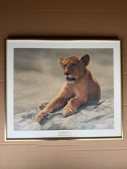 Lion Cub Wildlife Art Print Charles Frace