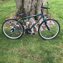 26” Mountain Bike 