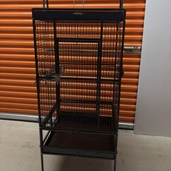 Bird Cage 
