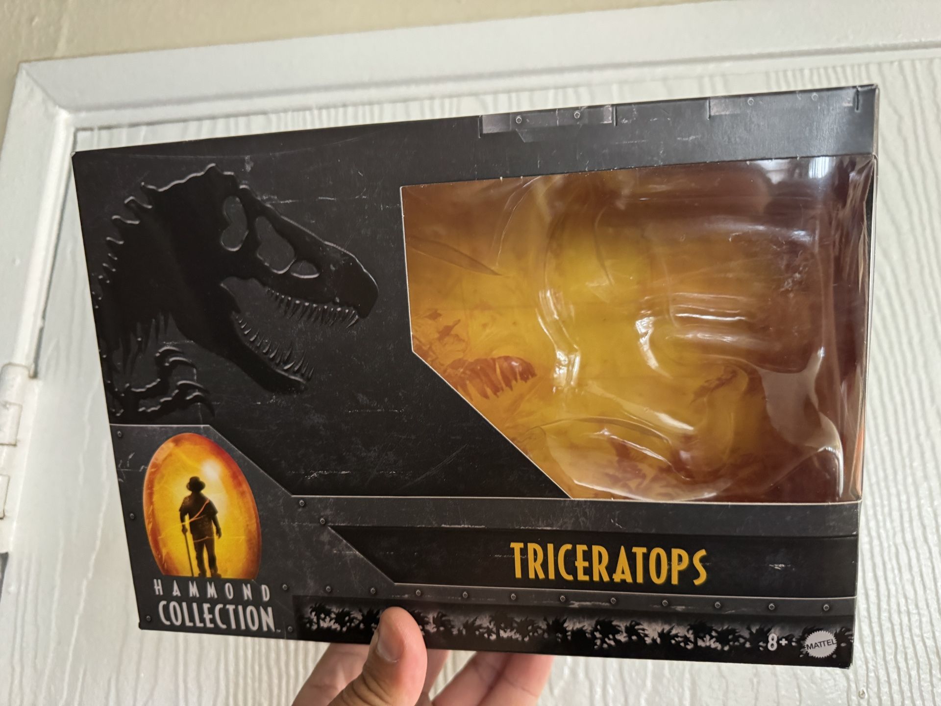 Empty box Only - Hammond Collection Triceratops