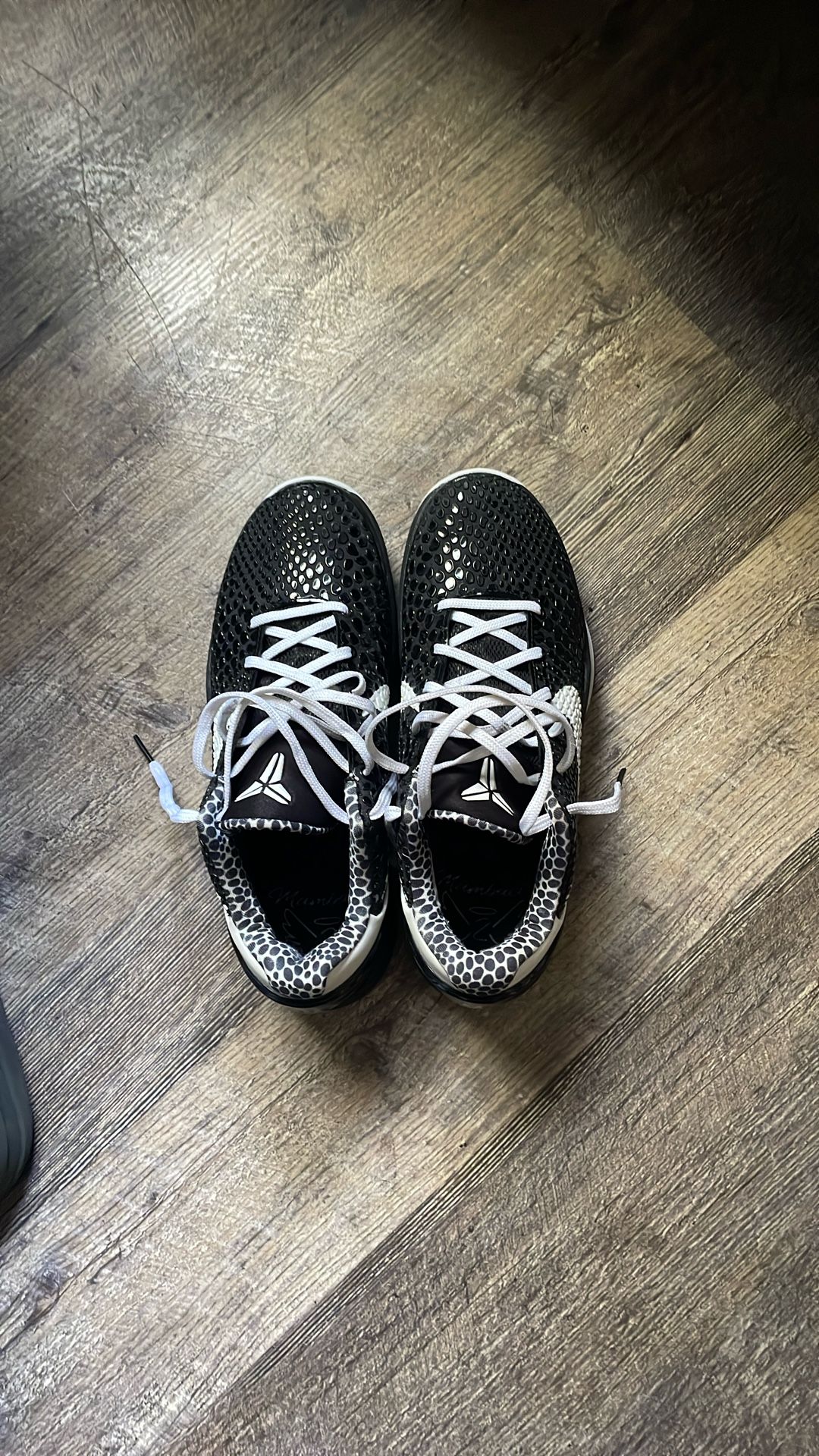 kobe 6 Mambacita