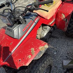 1986 Honda Fortrax 250(Trades)