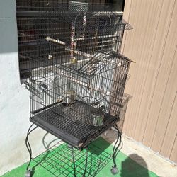 Bird Cage 