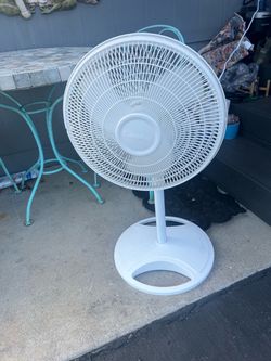 Fan
