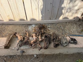 Driftwood