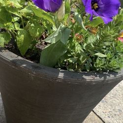 Flower Pots very tall and very big.  15 X16.  2  for 23