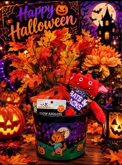 Halloween Buckets