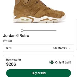 Jordan 6s Wheat/ Golden Harvest Edition 