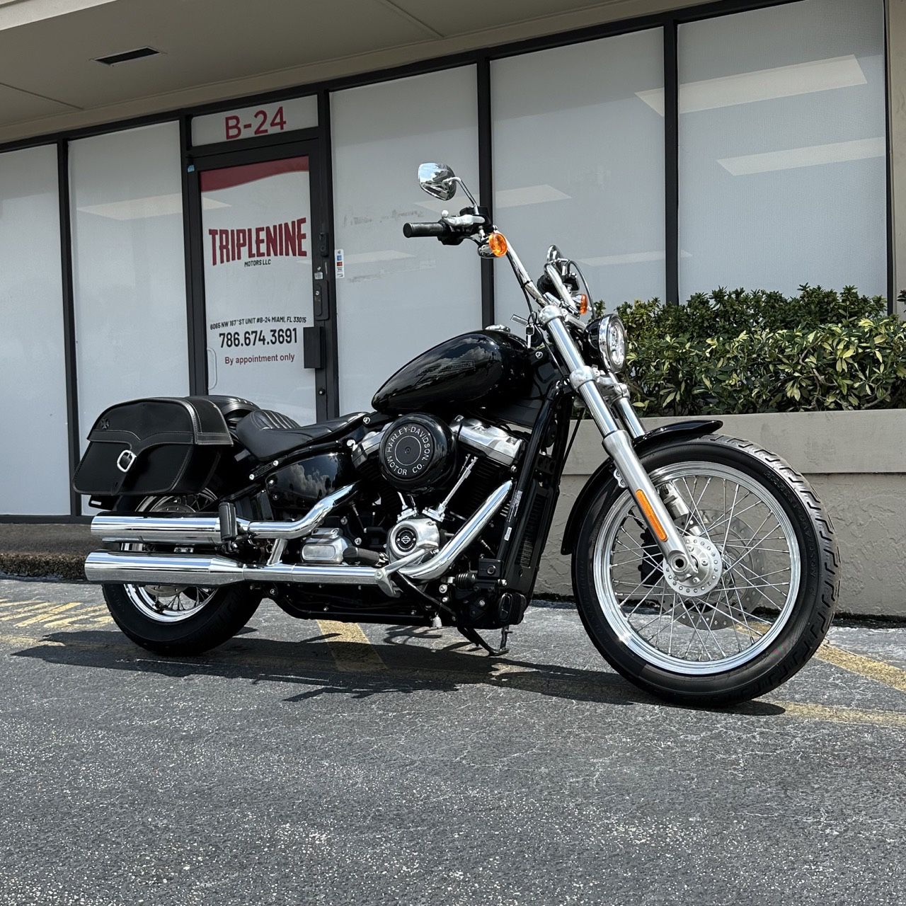 2021 Harley davidson Softail standar
