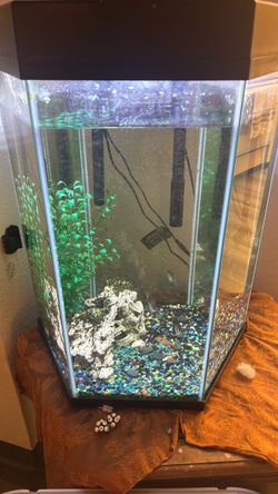 Free fish , tanks, tables - you pick up.