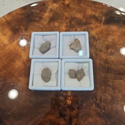 (NWA) North West Africa Meteorite 