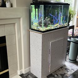 Fish tank , stand and all accessory