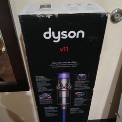 Dyson V11 