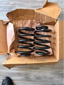 Lowering springs