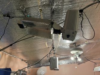 Gavita Pro Grow Light