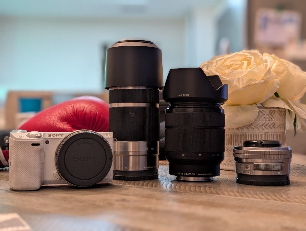 Sony Camera and E Mount Lens