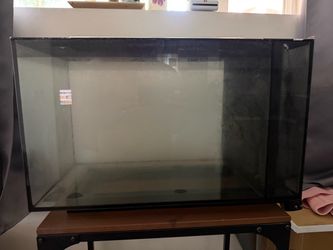 Aquarium Fluval 13.5 Gals with upgrades for saltwater fish and corals.
