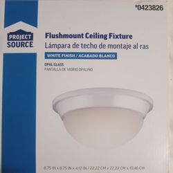 2 Flush mount Ceiling Fixtures (Cash Only)