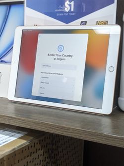 iPad 9th Gen 10.2" (WiFi)