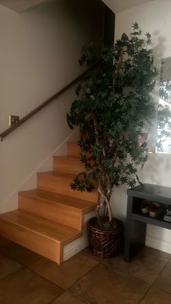 Artificial plant $100
