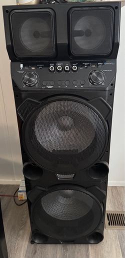 2 Speakers with microphones