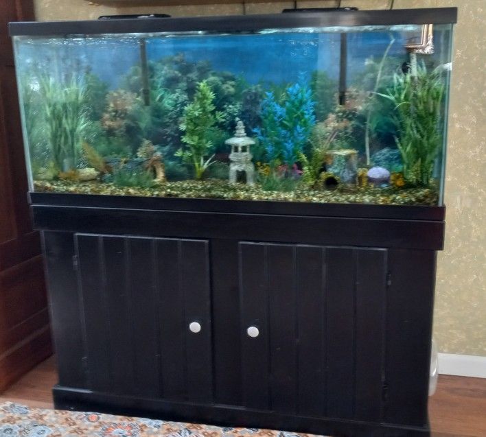 50 Gallon Aquarium with Base