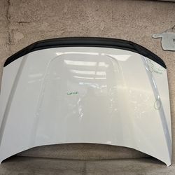 2017 2018 2019 2020 2021 2022 FORD F250 F350 F-250 F-350 SUPER DUTY HOOD OEM