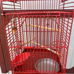 Bird Cage 