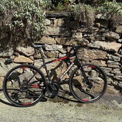 Schwinn Bike