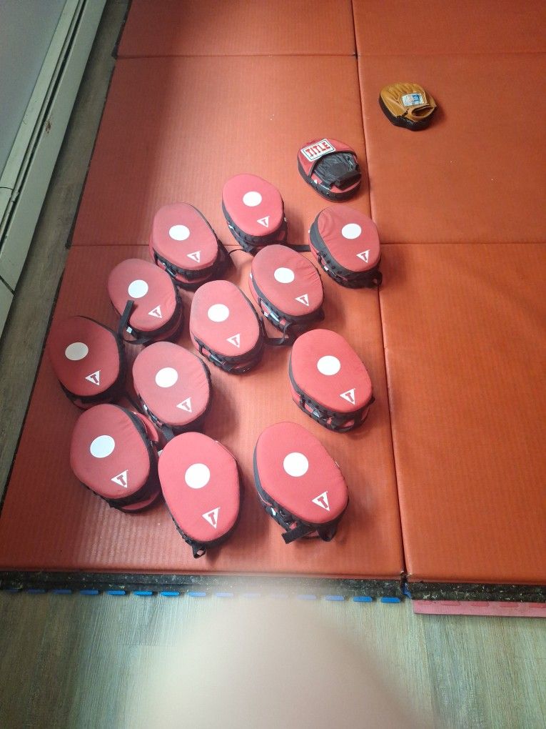 Martial Arts Hand Targets