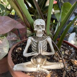 Solid Resin Praying Skeleton Yoga 