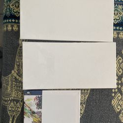 3 blank canvases for $5