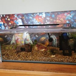 Everything Must Go FREE