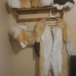 Fursuit 
