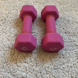 5lb Dumbbells 