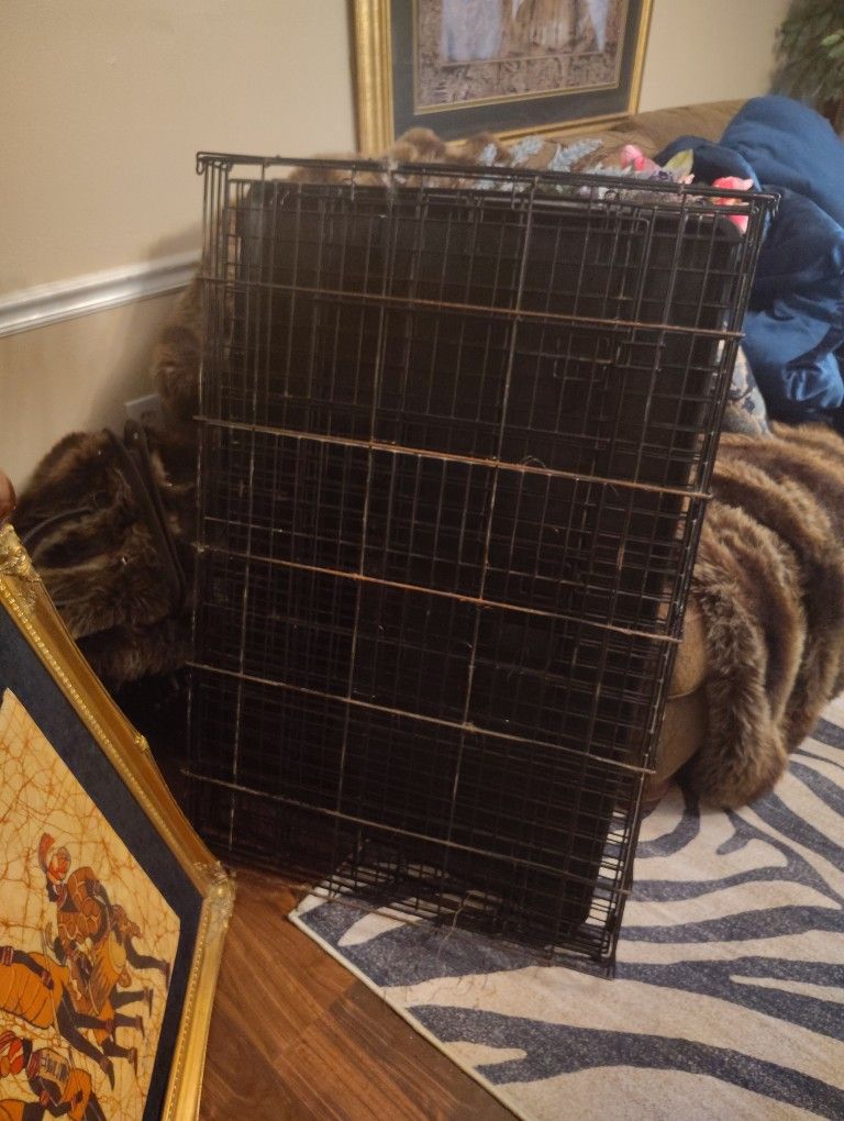 Huge Dog Cage