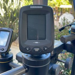 hummingbird , Fishin Buddy